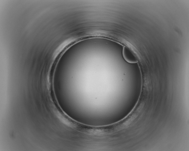 X0000113221082200909171550