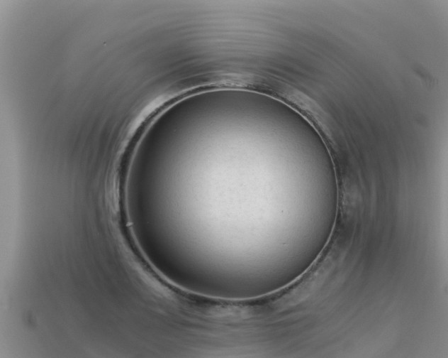 X0000113221083200909171550