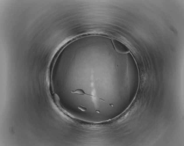 X0000113221084200909171550