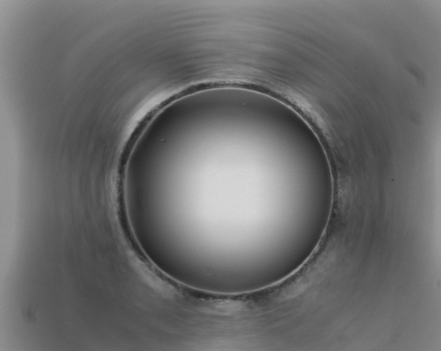 X0000113221085200909171550