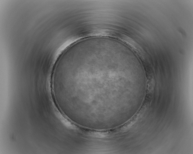 X0000113221086200909171550