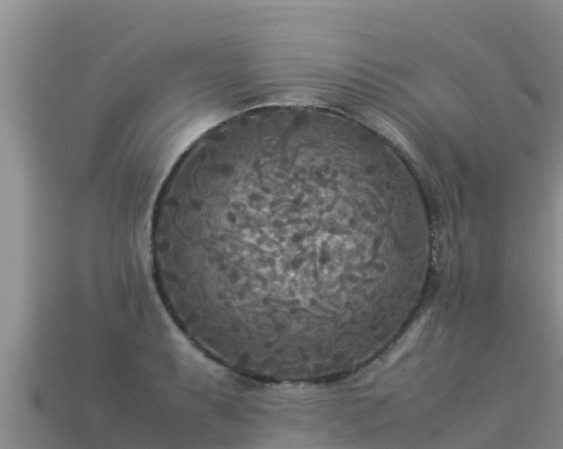 X0000113221087200909171550