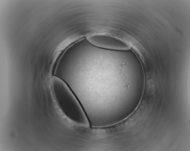 X0000113221088200909171550