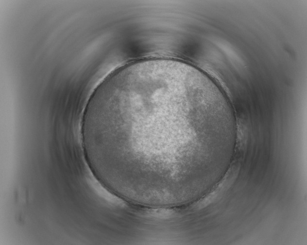 X0000113221090200909171550