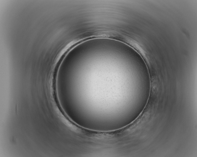 X0000113221091200909171550