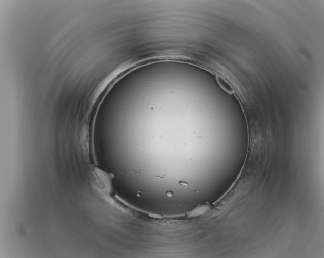 X0000113221092200909171550