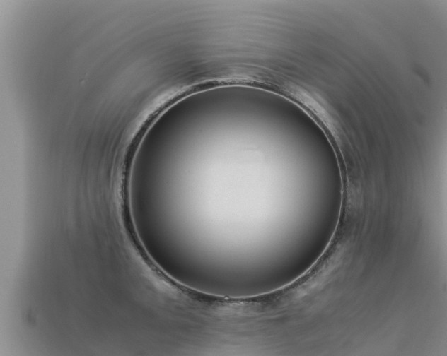 X0000113221093200909171550