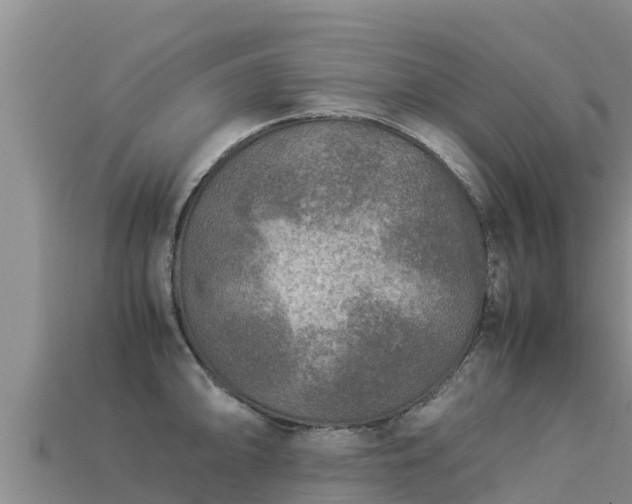 X0000113221094200909171550