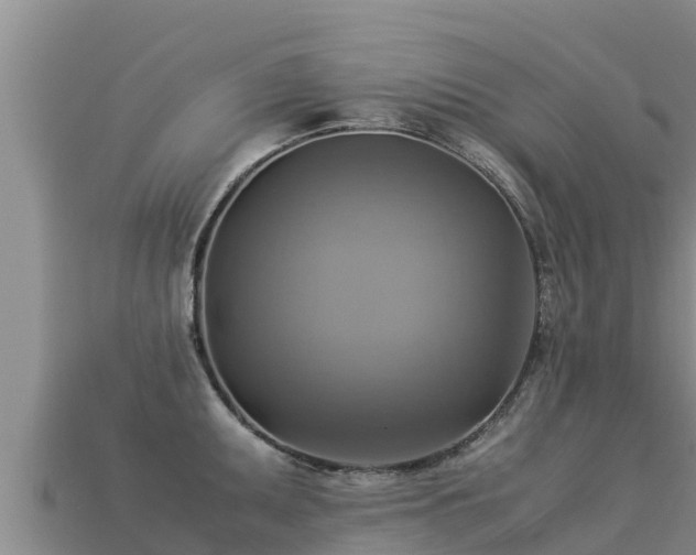 X0000113221095200909171550