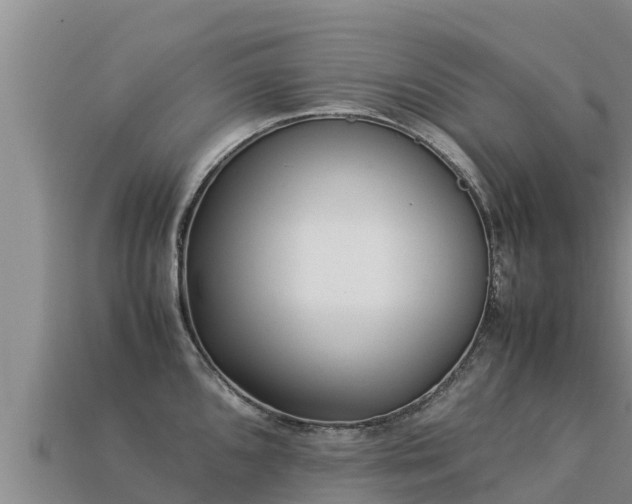 X0000113221096200909171550