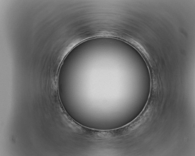 X0000113221097200909171550