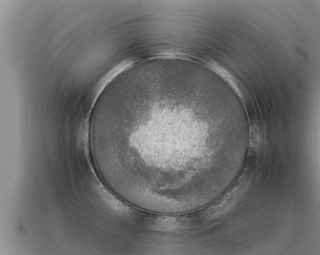 X0000113221098200909171550