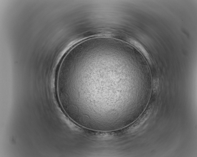 X0000113221099200909171550