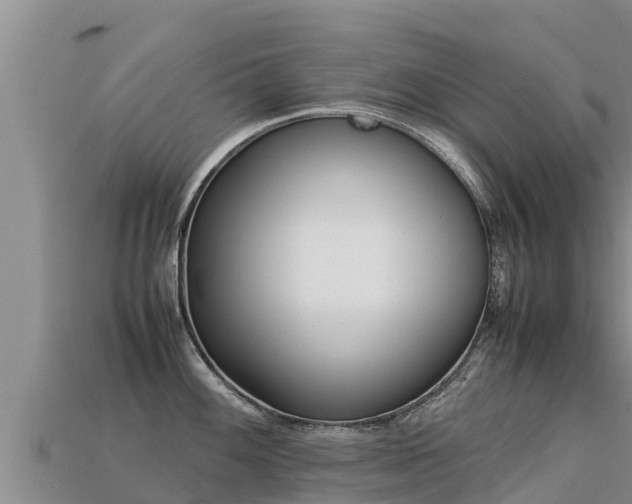 X0000113221100200909171550