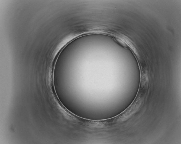 X0000113221101200909171550