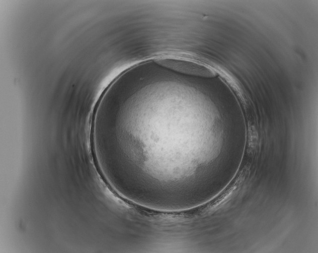 X0000113221102200909171550