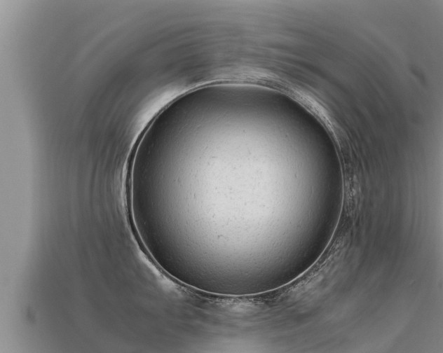 X0000113221103200909171550