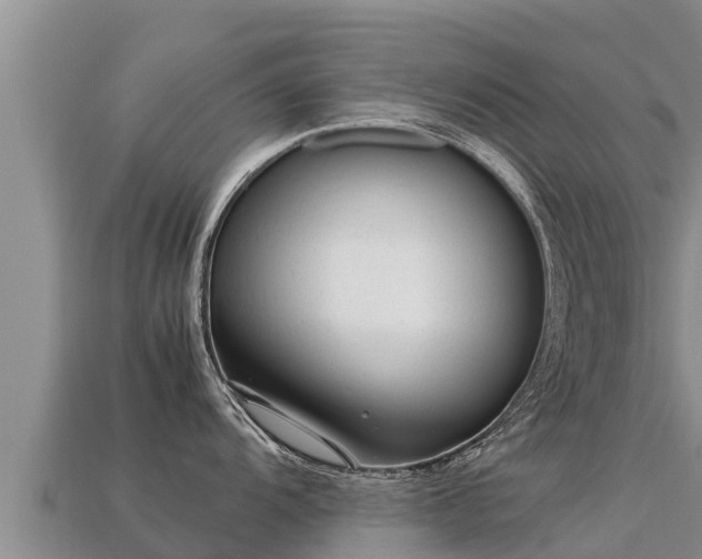 X0000113221104200909171550