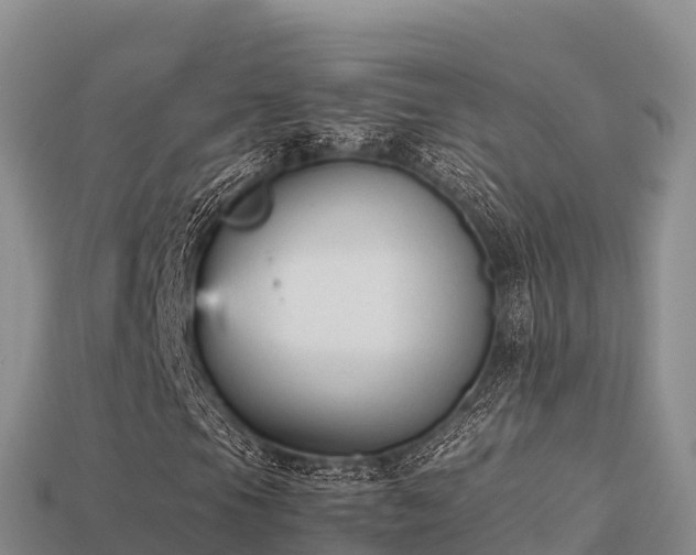 X0000113221105200909171549