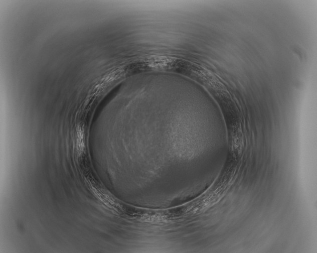 X0000113221106200909171549