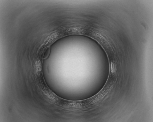 X0000113221107200909171549