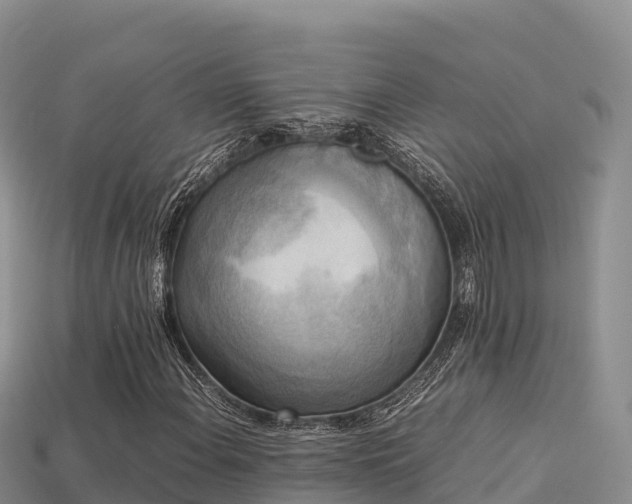 X0000113221108200909171549