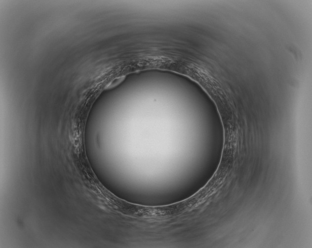 X0000113221109200909171549