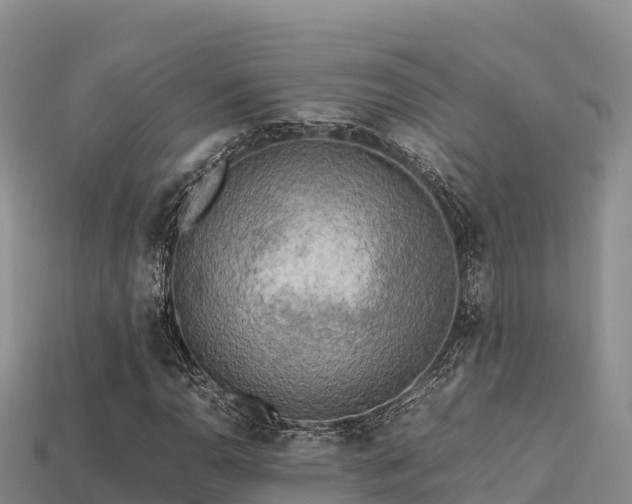 X0000113221110200909171549