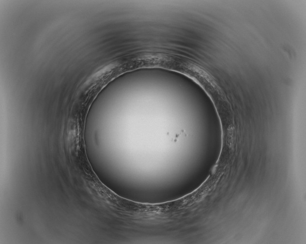 X0000113221111200909171549