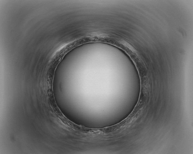 X0000113221112200909171549