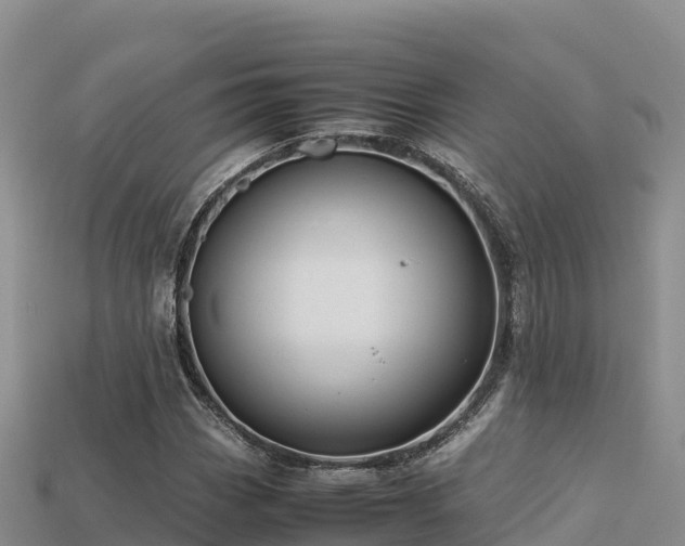 X0000113221113200909171549