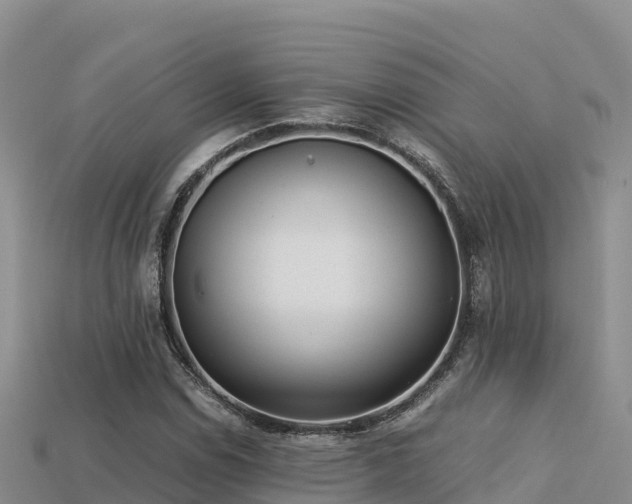 X0000113221114200909171549