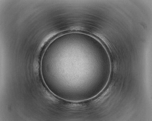 X0000113221115200909171549