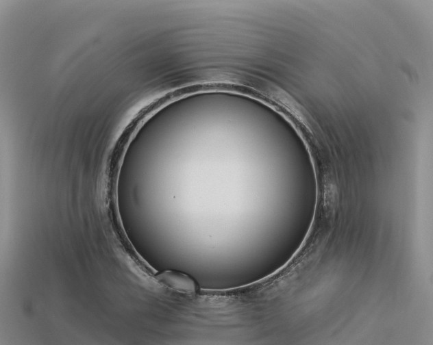 X0000113221116200909171549