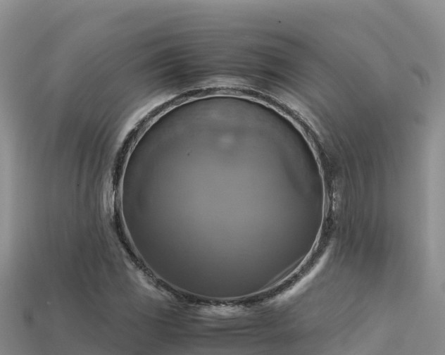 X0000113221117200909171549