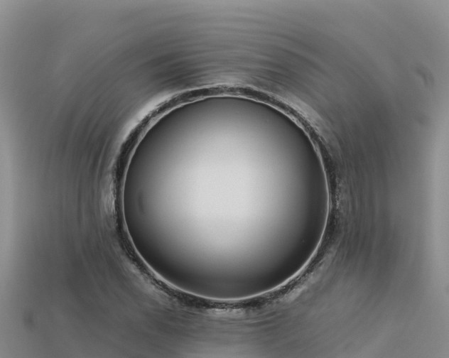 X0000113221118200909171549