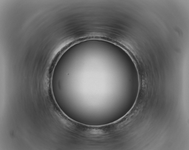 X0000113221119200909171549