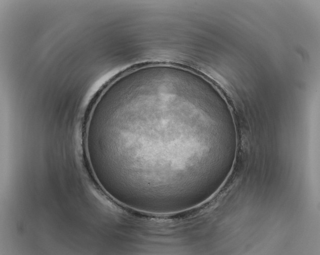 X0000113221120200909171549