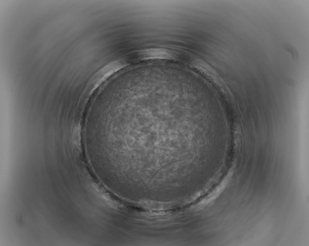 X0000113221121200909171549