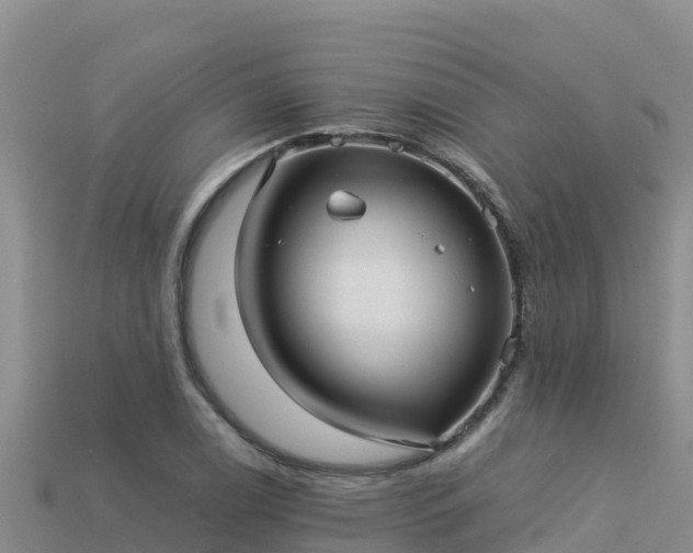 X0000113221122200909171549