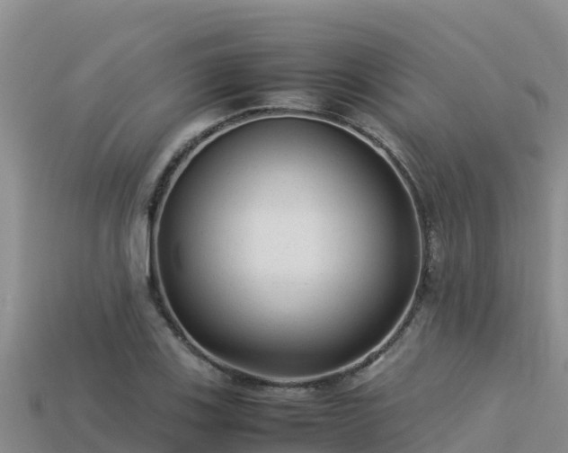 X0000113221123200909171549