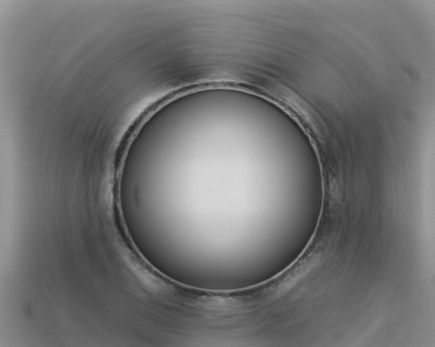 X0000113221124200909171549