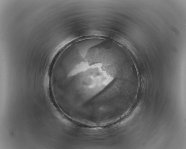 X0000113221125200909171549