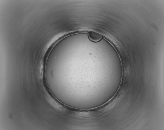 X0000113221126200909171549