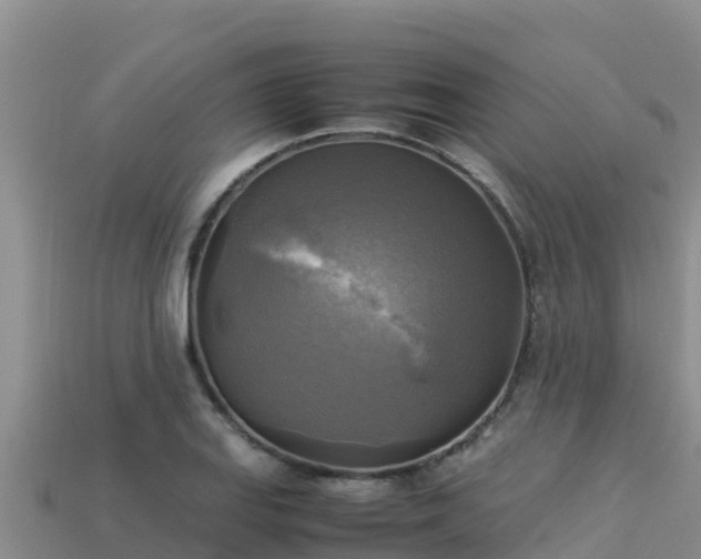 X0000113221127200909171549