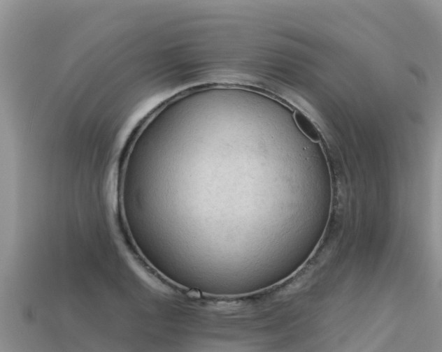 X0000113221128200909171549