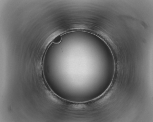 X0000113221129200909171549