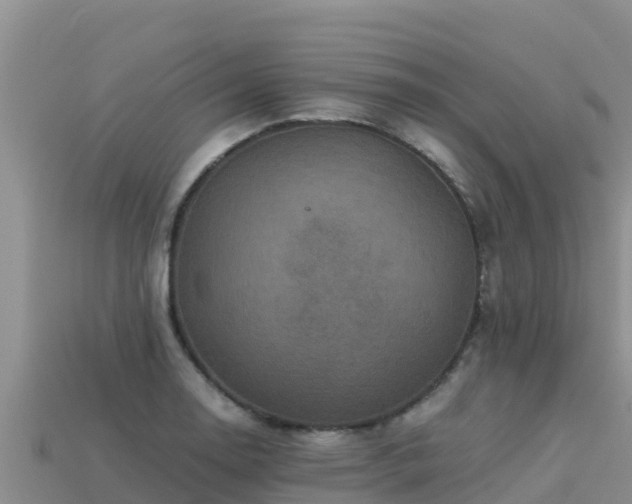 X0000113221130200909171549