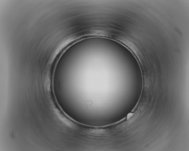 X0000113221131200909171549