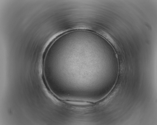 X0000113221132200909171549